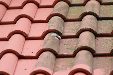 屋根塗装 塗り替えるタイミング